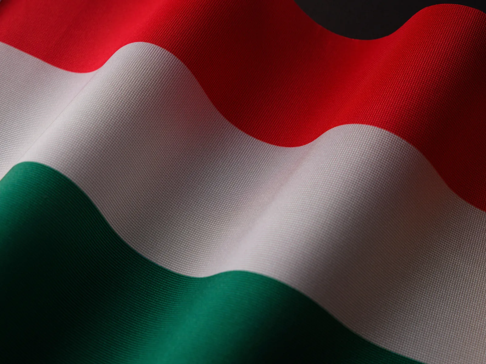 العلم المجري يرمز إلى منحة Stipendium Hungaricum للدراسة في المجر